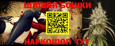стаф Будённовск