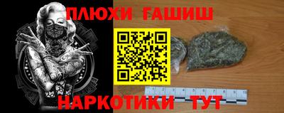 стаф Будённовск