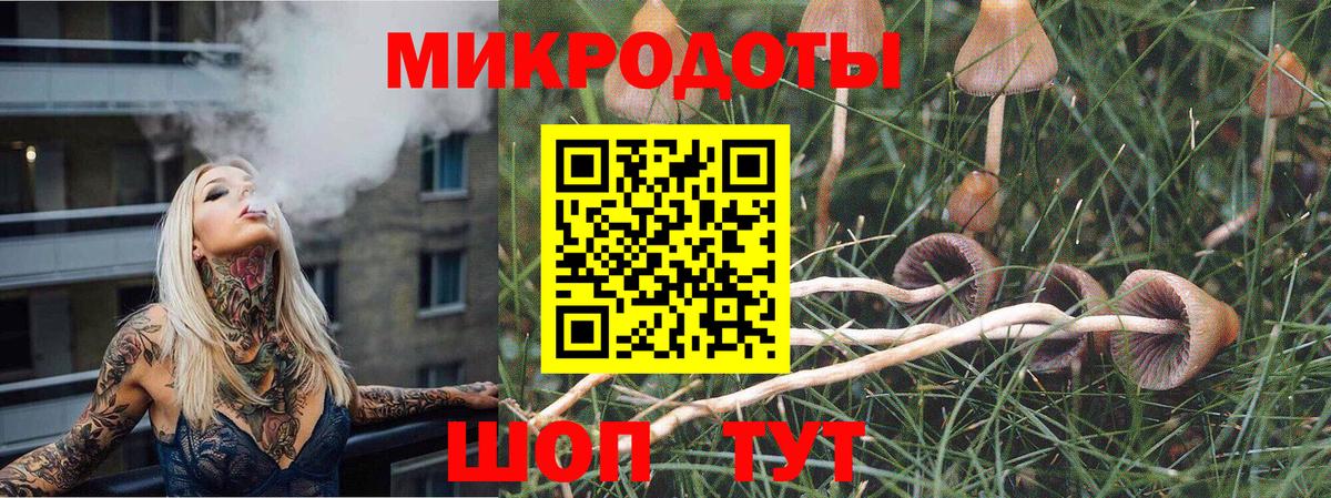 Галлюциногенные грибы ЛСД  Вход с VPN  Новозыбков 