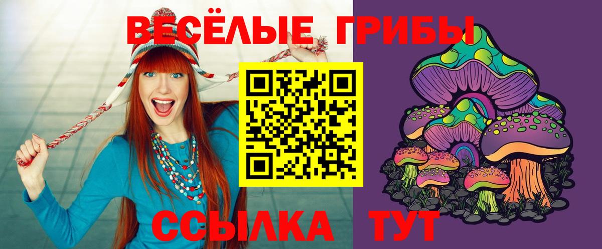 Мефедрон   ГАШИШ  COCAIN  Вход с VPN  Новозыбков  Каннабис 