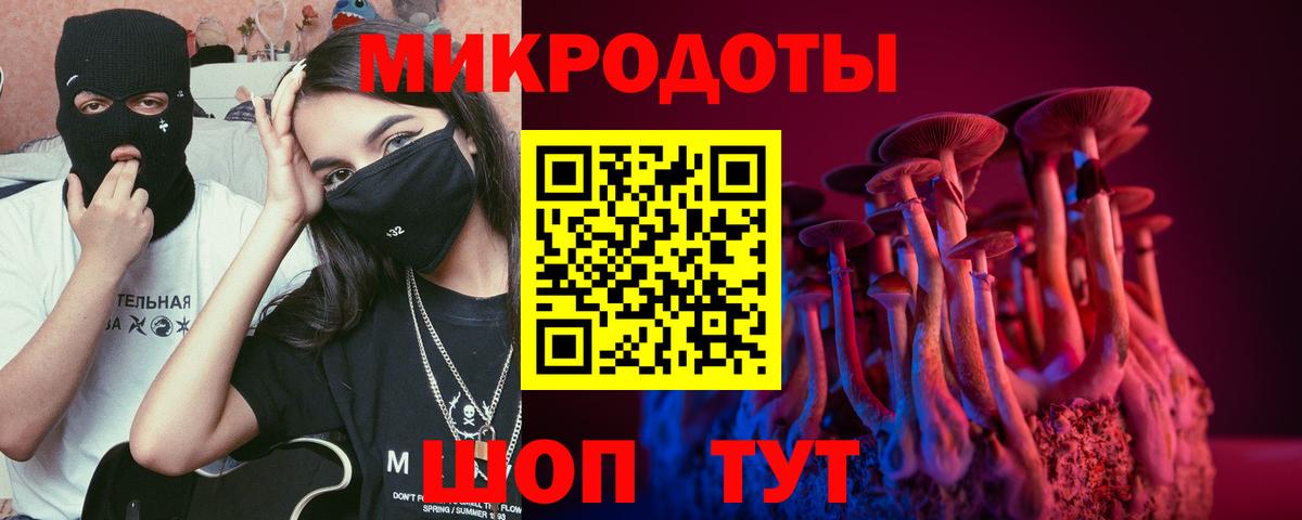Псилоцибиновые грибы GOLDEN TEACHER Новозыбков